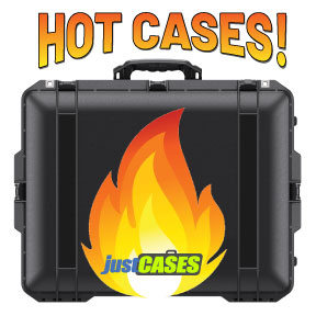 Thanks for Thinking About justCASES!