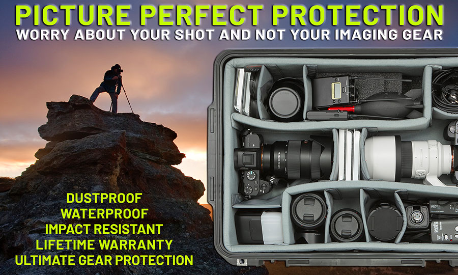 Photo and Video Cases